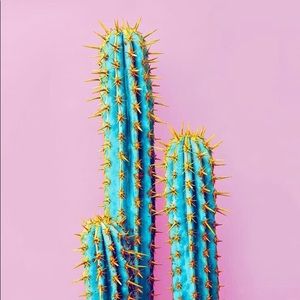 Meet your Posher, Katy